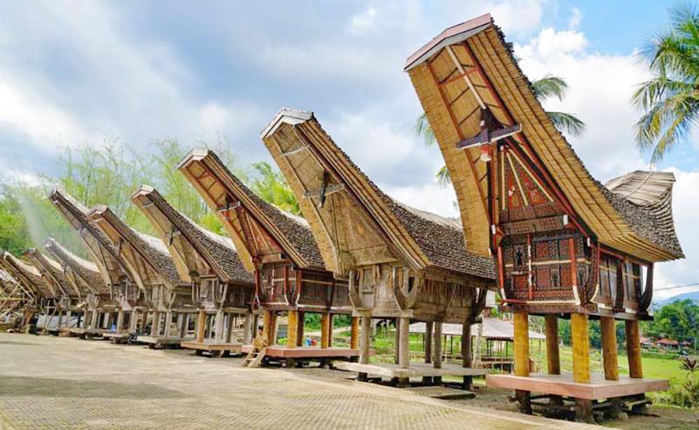 toraja